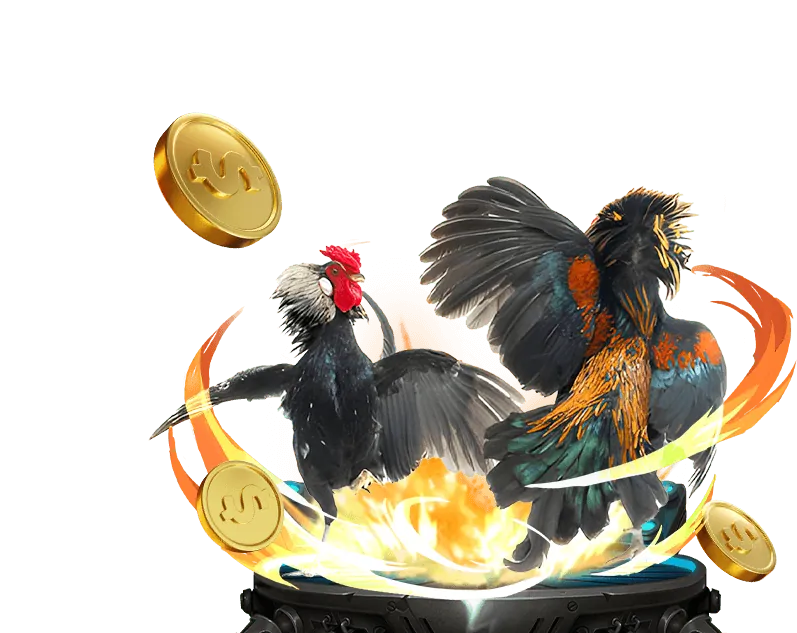 Các cấp độ VIP 8swin